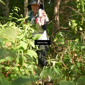 Runner Photo 5132446