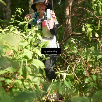 Runner Photo 5132452