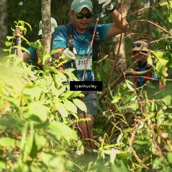 Runner Photo 5132473