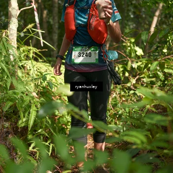Runner Photo 5132798