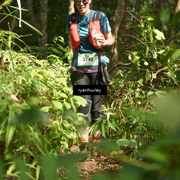 Runner Photo 5132800