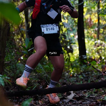 Runner Photo 5132809