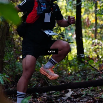 Runner Photo 5132819
