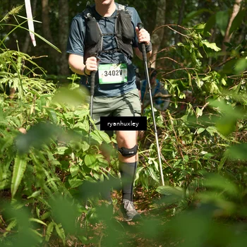 Runner Photo 5132879