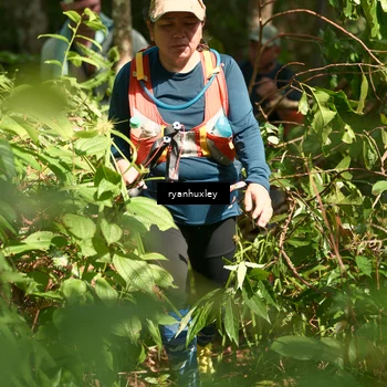 Runner Photo 5132922