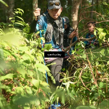 Runner Photo 5132995