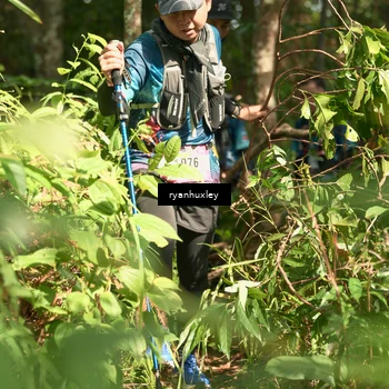 Runner Photo 5132999