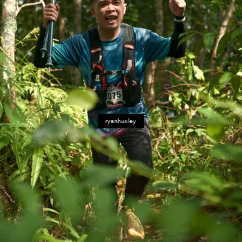 Runner Photo 5133034