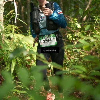 Runner Photo 5133056