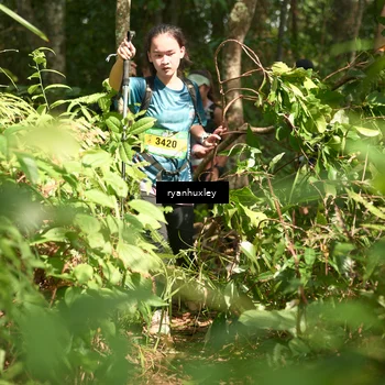 Runner Photo 5133085