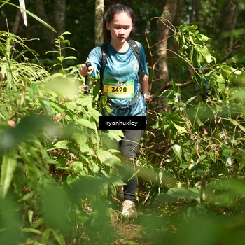 Runner Photo 5133100