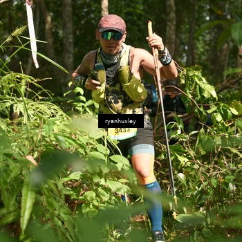 Runner Photo 5133148