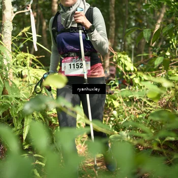 Runner Photo 5133236