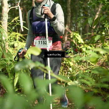 Runner Photo 5133239