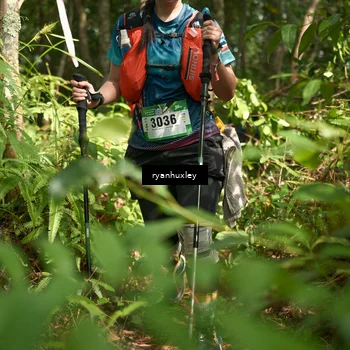 Runner Photo 5133261
