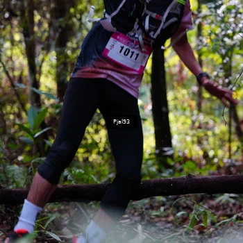 Runner Photo 5133262
