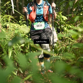 Runner Photo 5133264