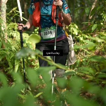 Runner Photo 5133266