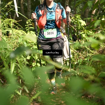Runner Photo 5133274