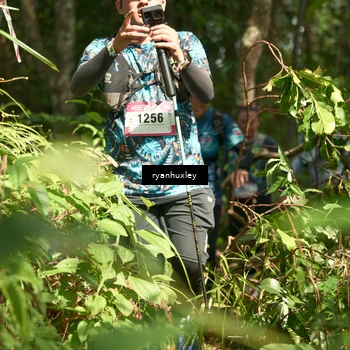 Runner Photo 5133416