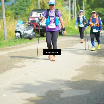 Runner Photo 5133473