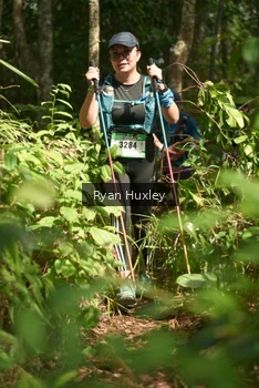 Runner Photo 5133564