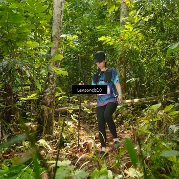 Runner Photo 5133567