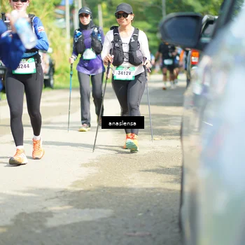 Runner Photo 5133577