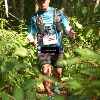 Runner Photo 5133611