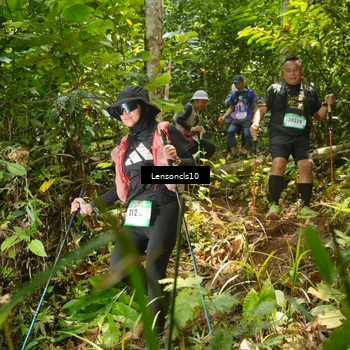 Runner Photo 5133794