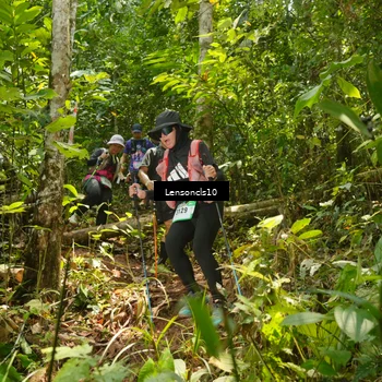 Runner Photo 5133796