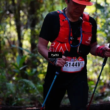 Runner Photo 5133829