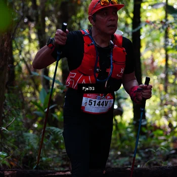 Runner Photo 5133830