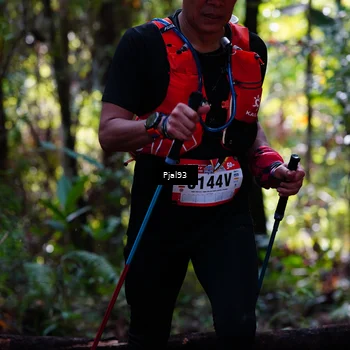 Runner Photo 5133851