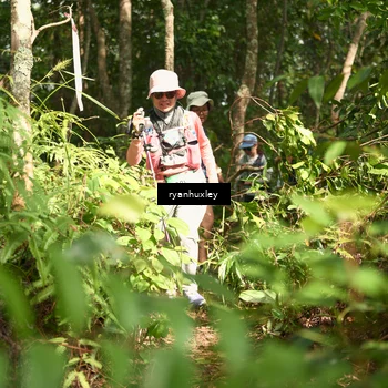 Runner Photo 5134025