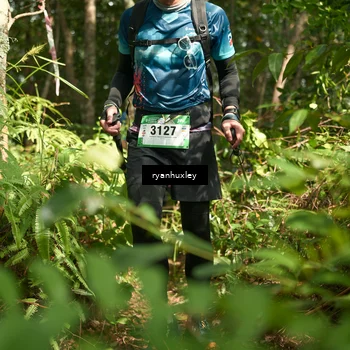Runner Photo 5134336