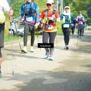Runner Photo 5134563