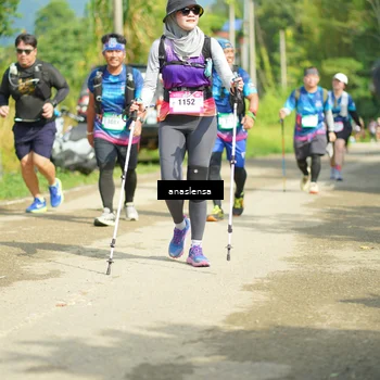 Runner Photo 5134785