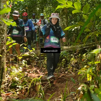 Runner Photo 5134815