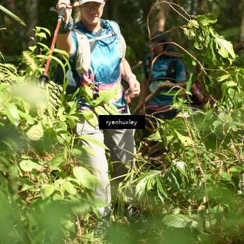 Runner Photo 5135464