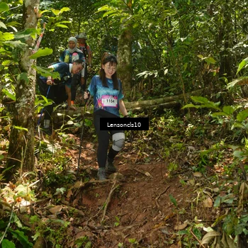 Runner Photo 5135529