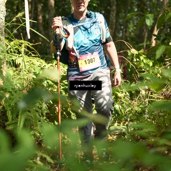 Runner Photo 5135531