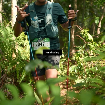 Runner Photo 5135670