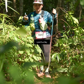 Runner Photo 5135808