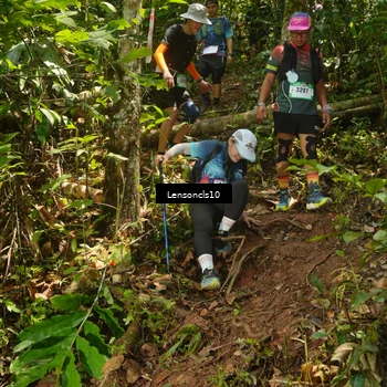 Runner Photo 5135876