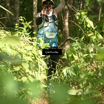 Runner Photo 5135904