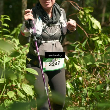 Runner Photo 5135969