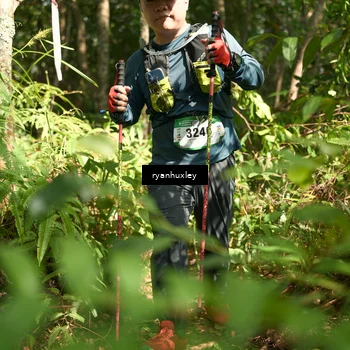 Runner Photo 5135977