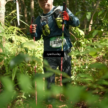 Runner Photo 5135995