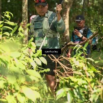Runner Photo 5136184
